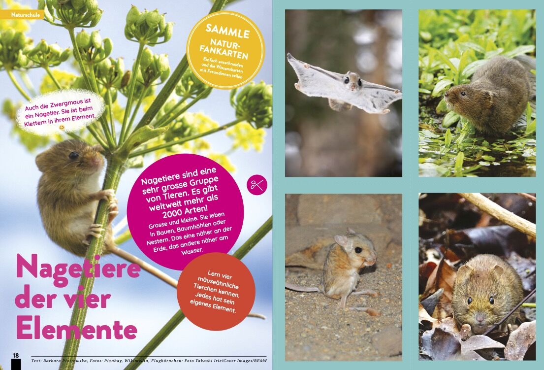 KALEIO-Magazin Nr. 22: In meinem Element – Bild 6