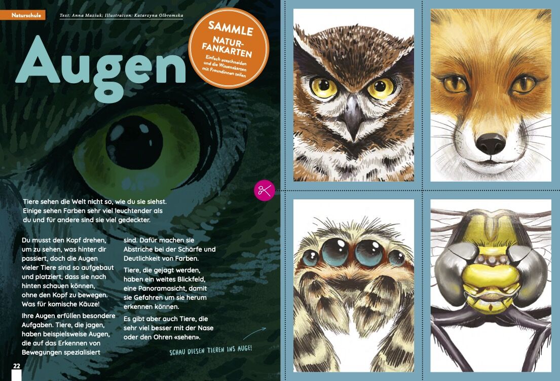 KALEIO N°24 : Dans le miroir (allemand) – Image 6