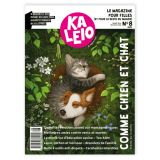 KALEIO N°8 : Comme chien et chat (français)