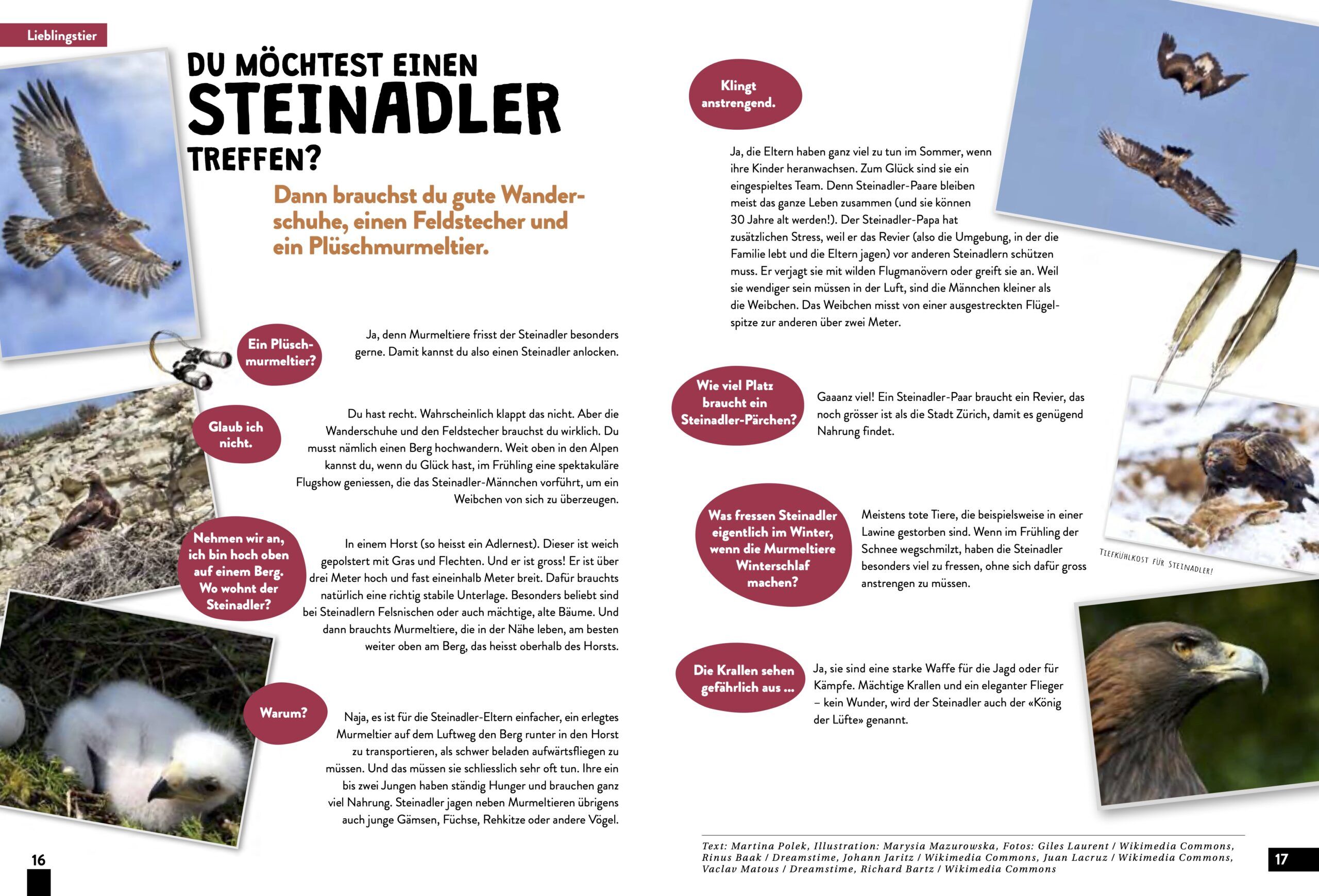 KALEIO-Magazin Nr. 20: Ungezähmt – Bild 5