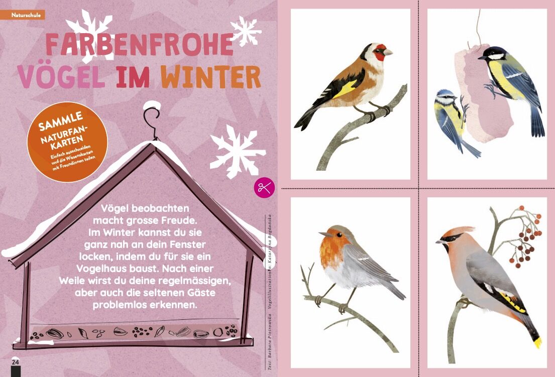 KALEIO-Magazin Nr. 1: Meine Stimme – Bild 6