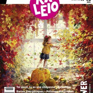 Alternative view of KALEIO N°18 : Power (français)