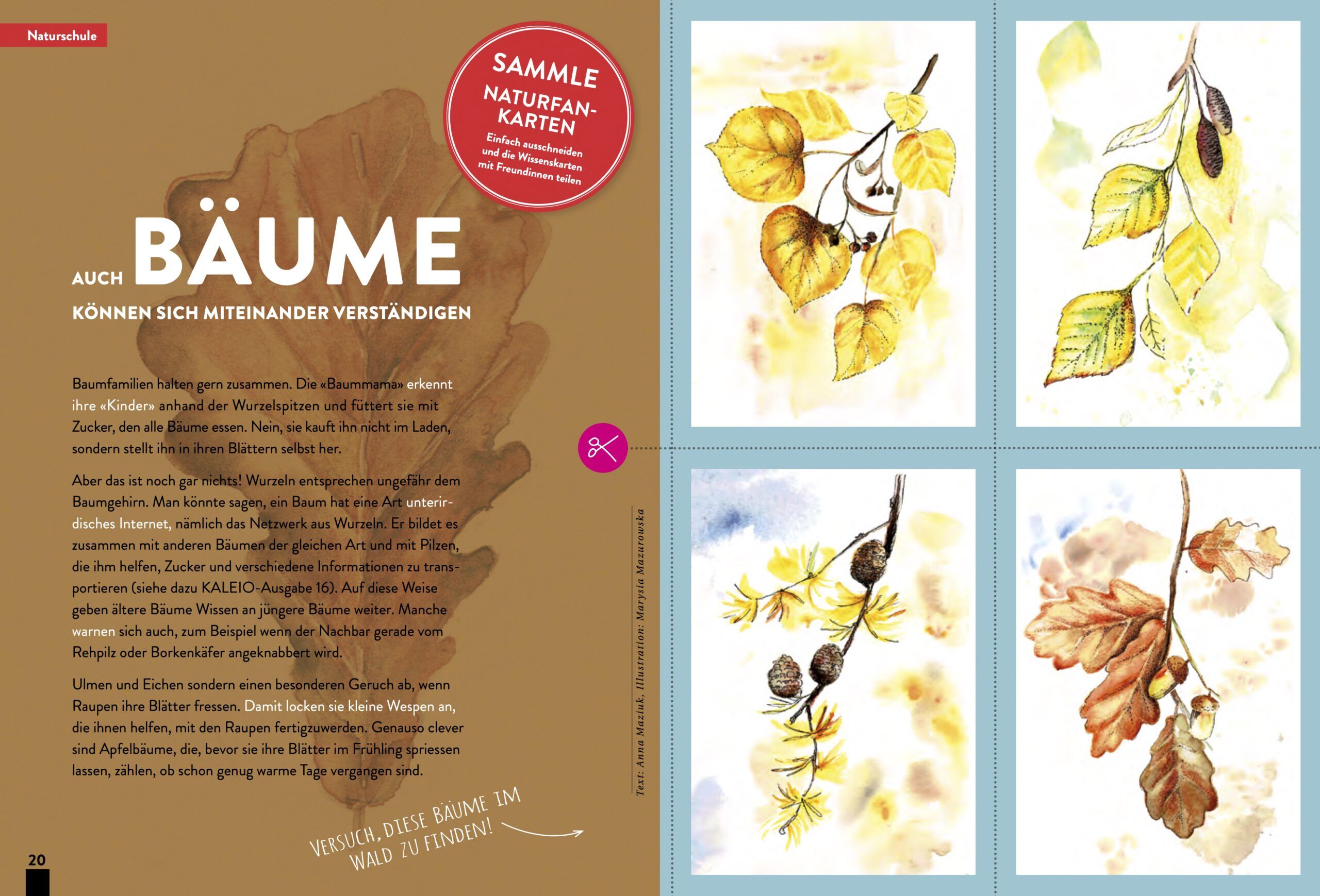 KALEIO-Magazin Nr. 18: Power – Bild 5