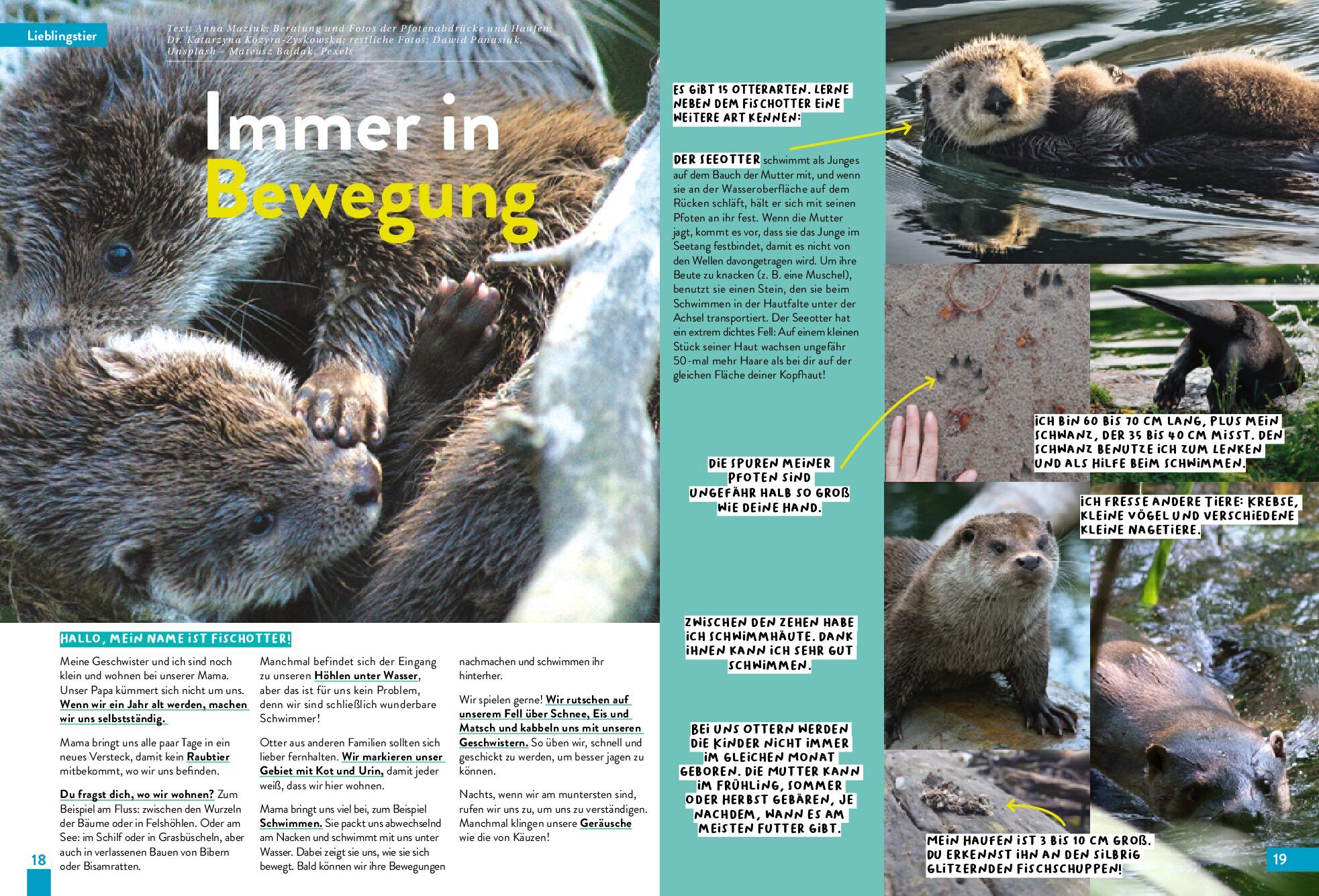 KALEIO-Magazin Nr. 26: In die Wildnis (Deutsch) – Bild 5